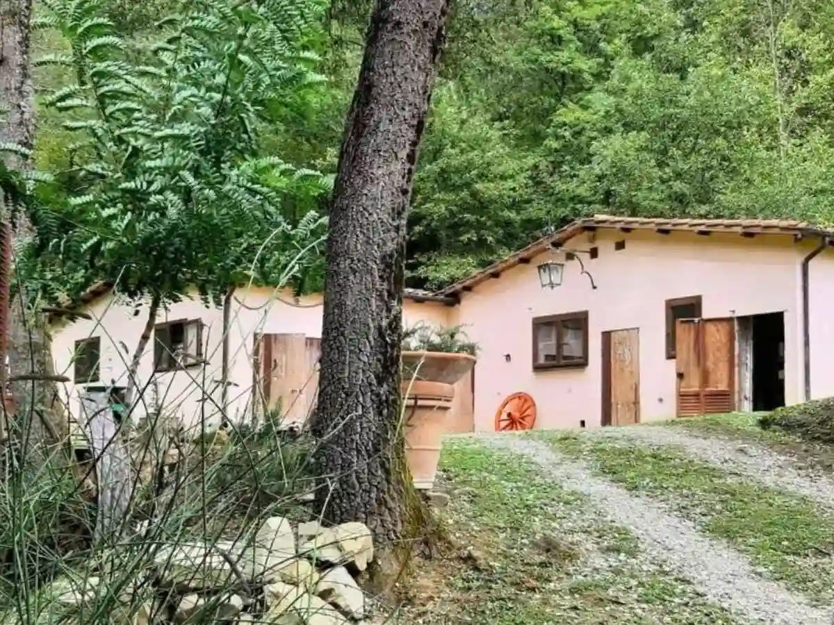 Rustico - Casale - foto 4