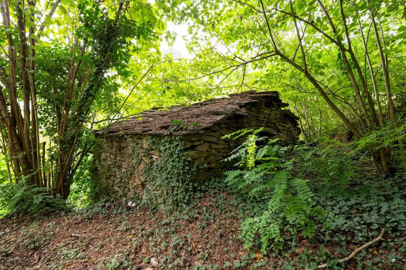 Rustico - Casale in vendita a Barge
