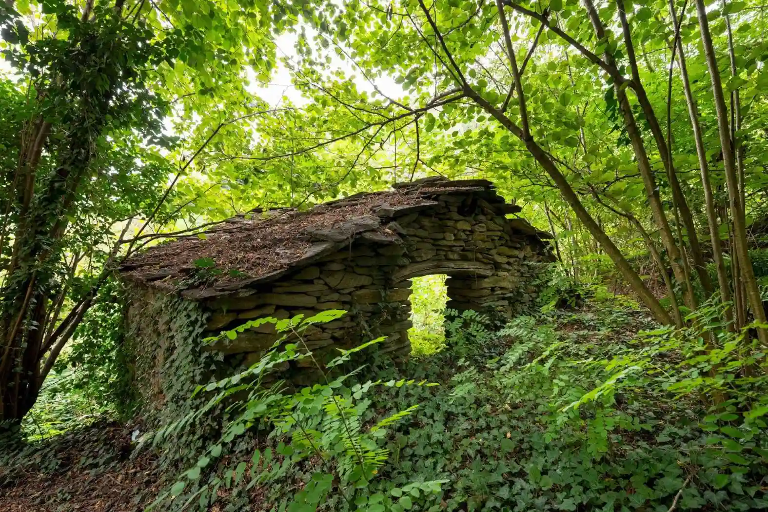Rustico - Casale - foto 2