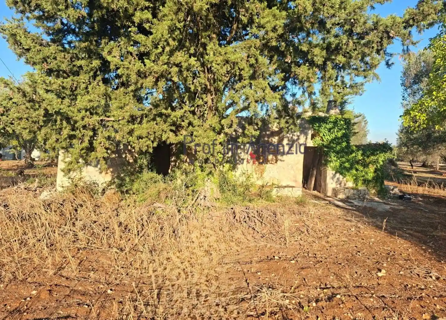 Rustico - Casale in vendita a Ceglie Messapica