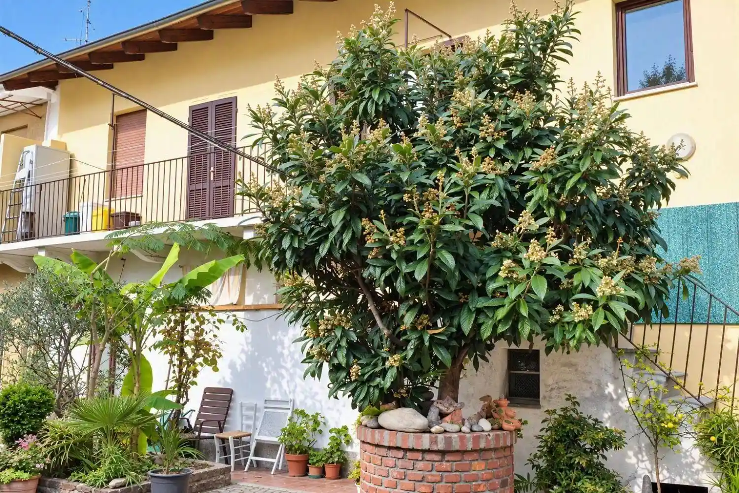 Appartamento in affitto a Novara