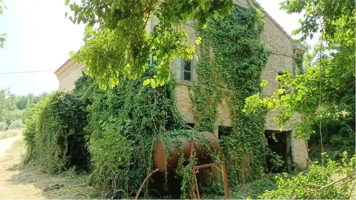 Rustico - Casale in vendita a Montelparo