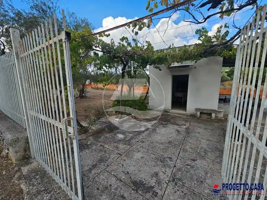 Rustico - Casale - foto 4