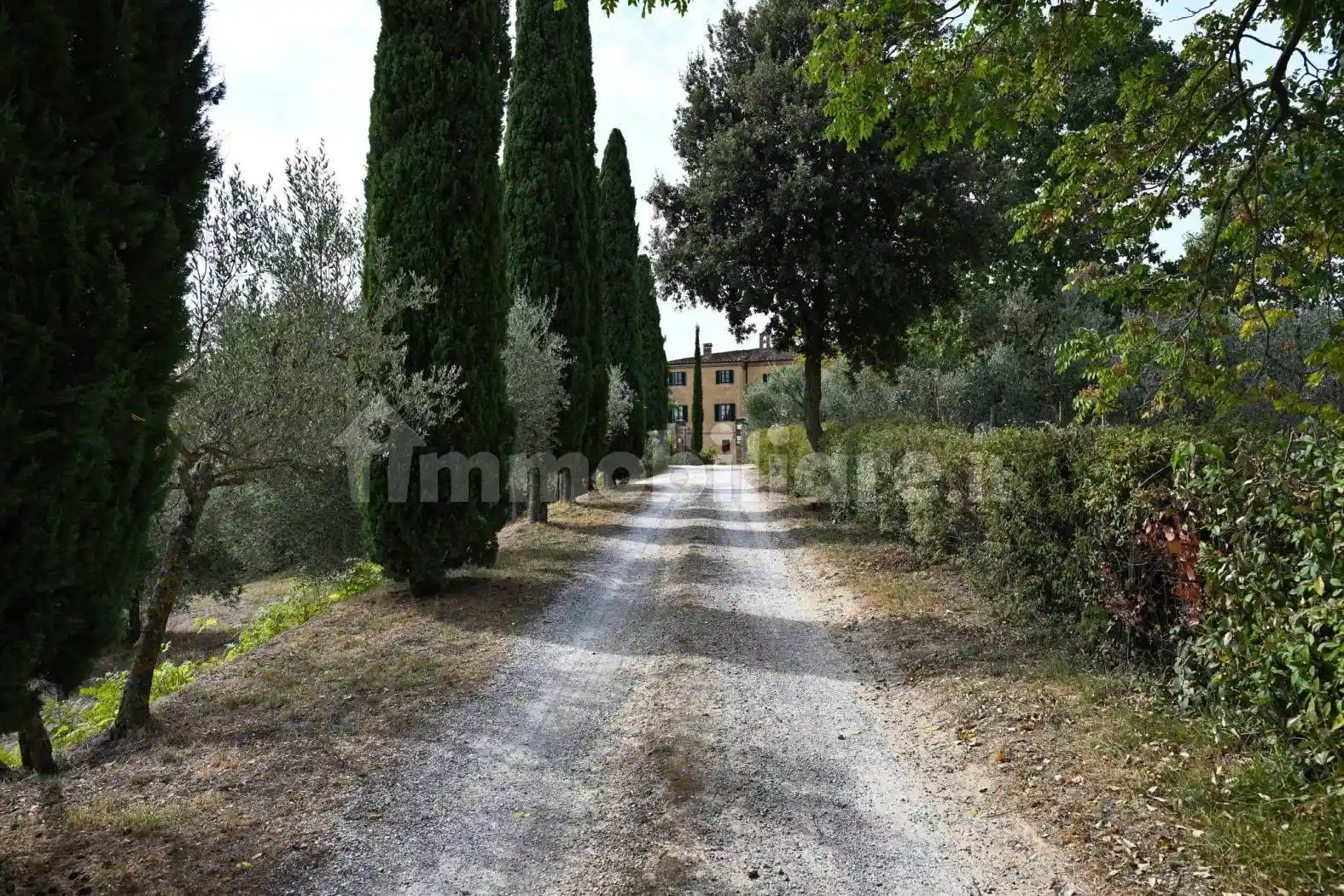 Rustico - Casale in vendita a Asciano