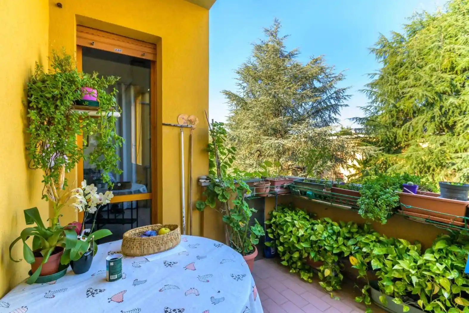 Appartamento in vendita a Imola