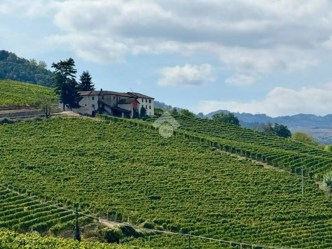 Rustico - Casale in vendita a Cossano Belbo