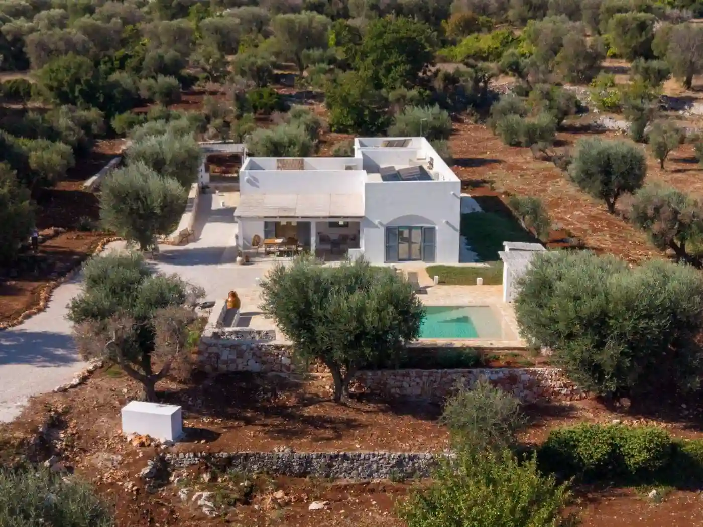 Villa - foto 2