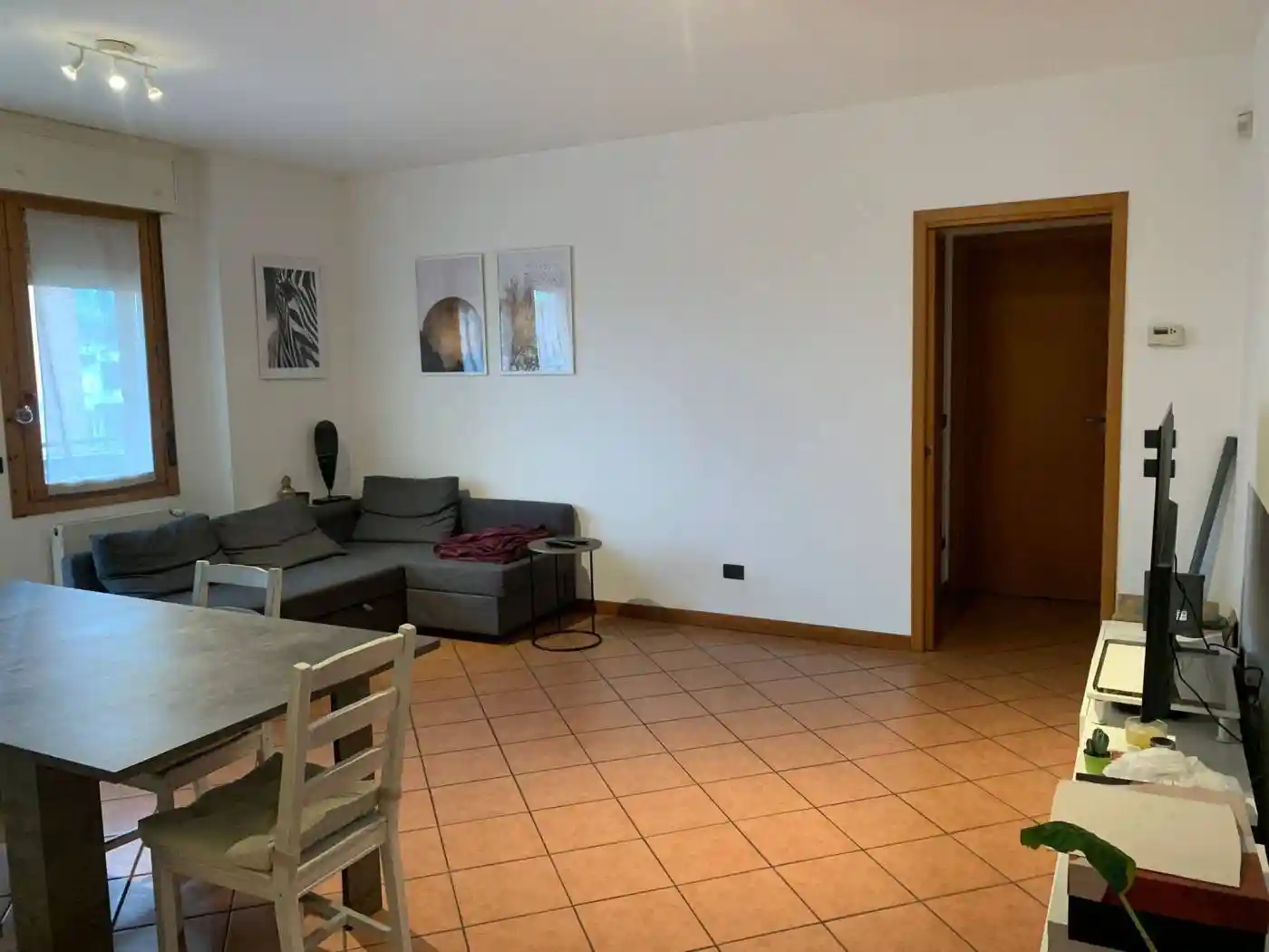 Appartamento in affitto a Casalecchio di Reno