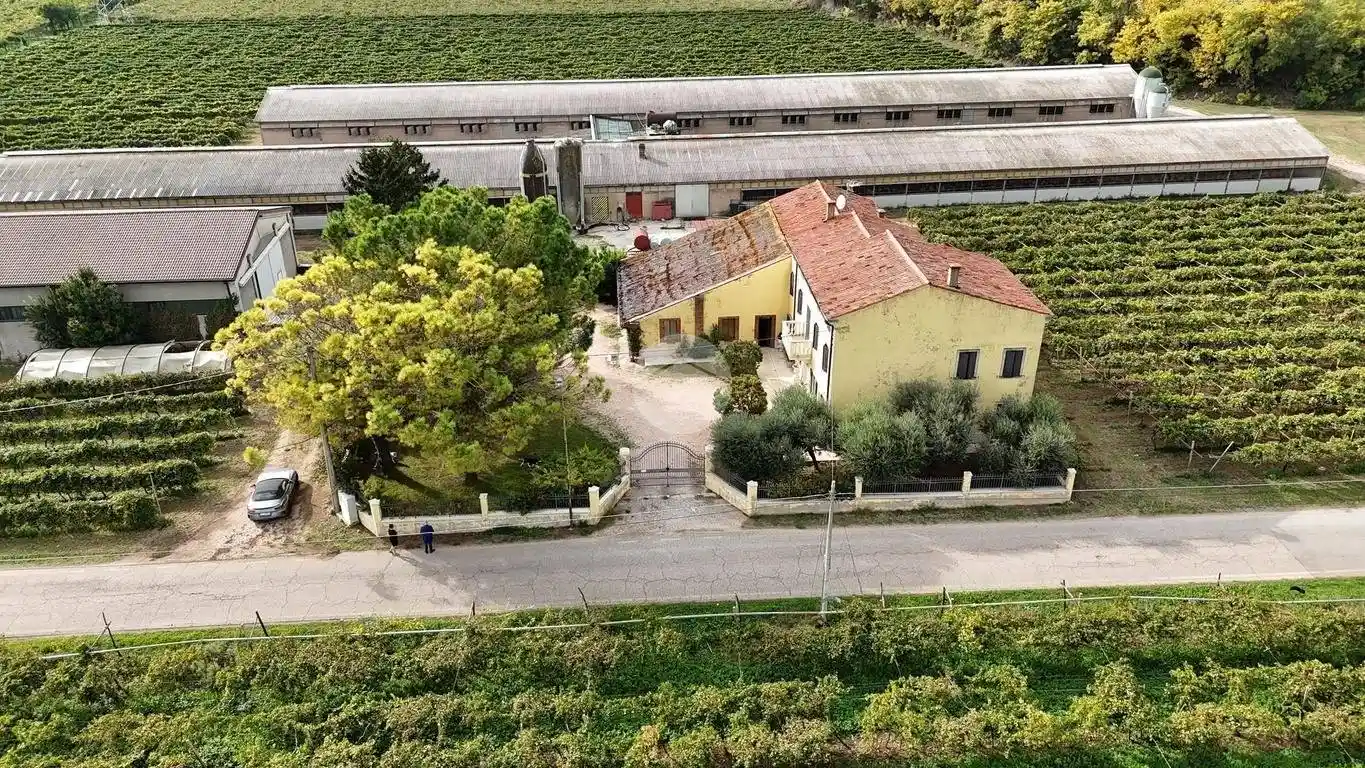 Villa in vendita a Colognola Ai Colli