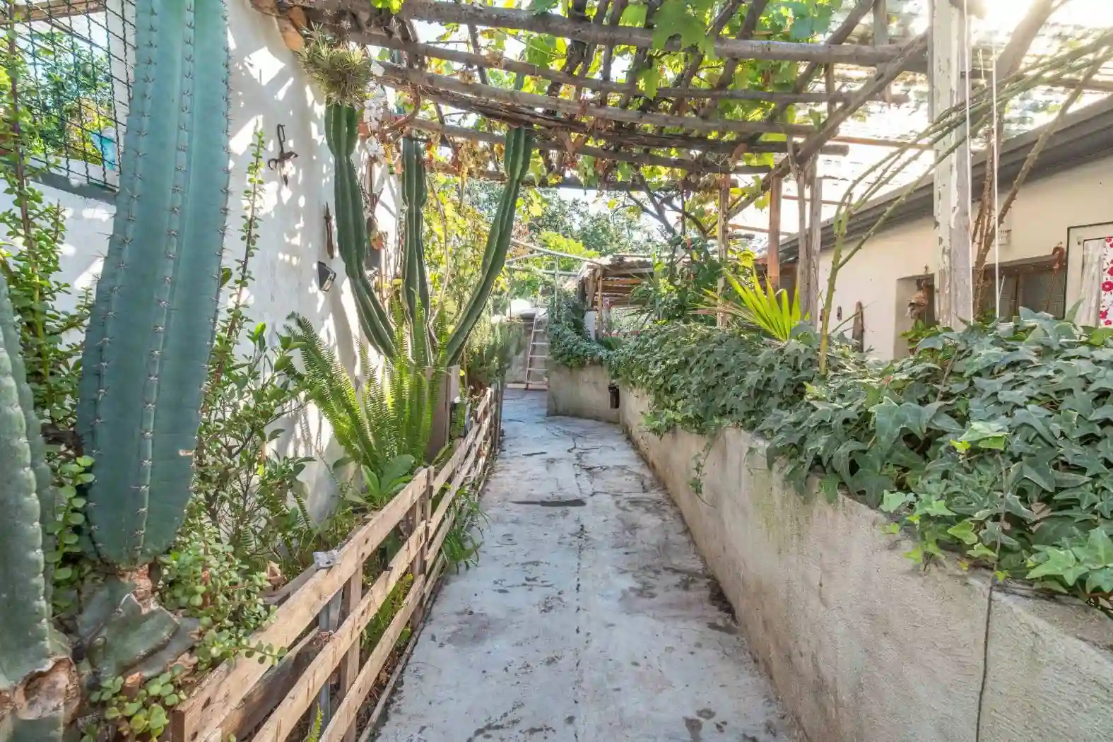Casa indipendente - foto 4