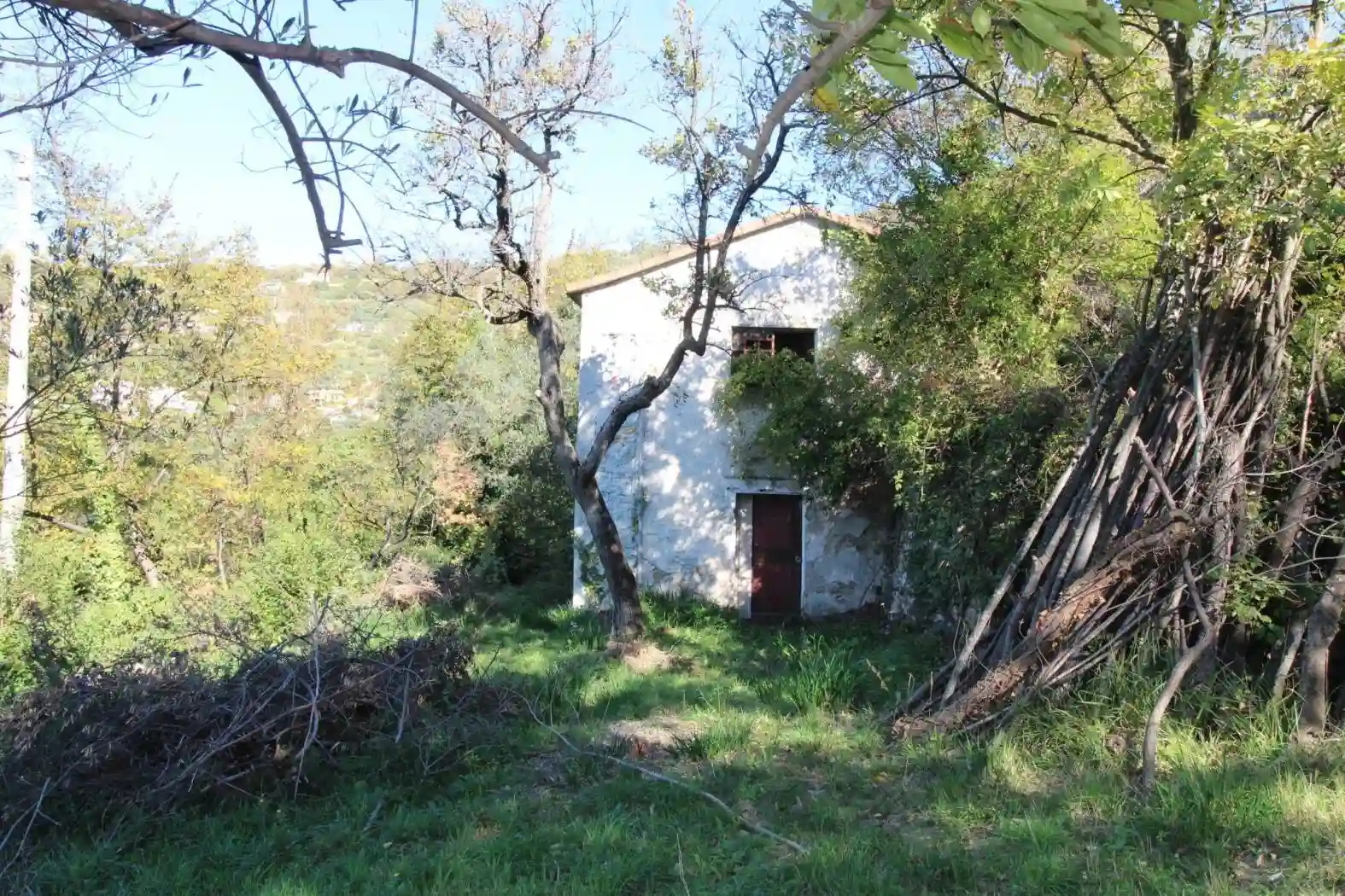 Rustico - Casale - foto 5