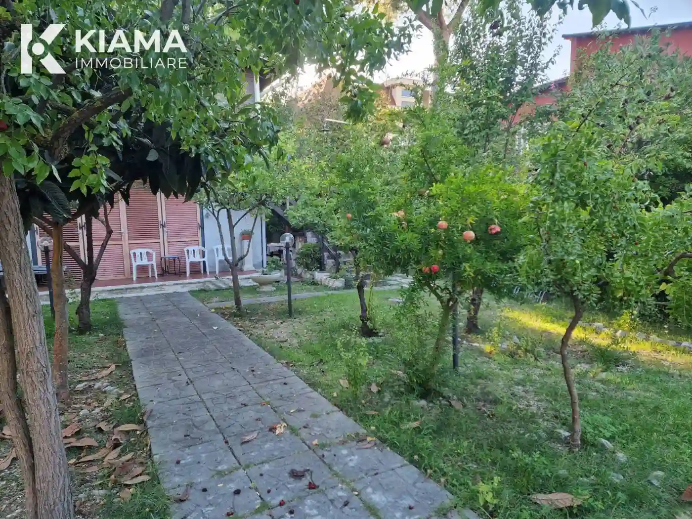 Villa - foto 5