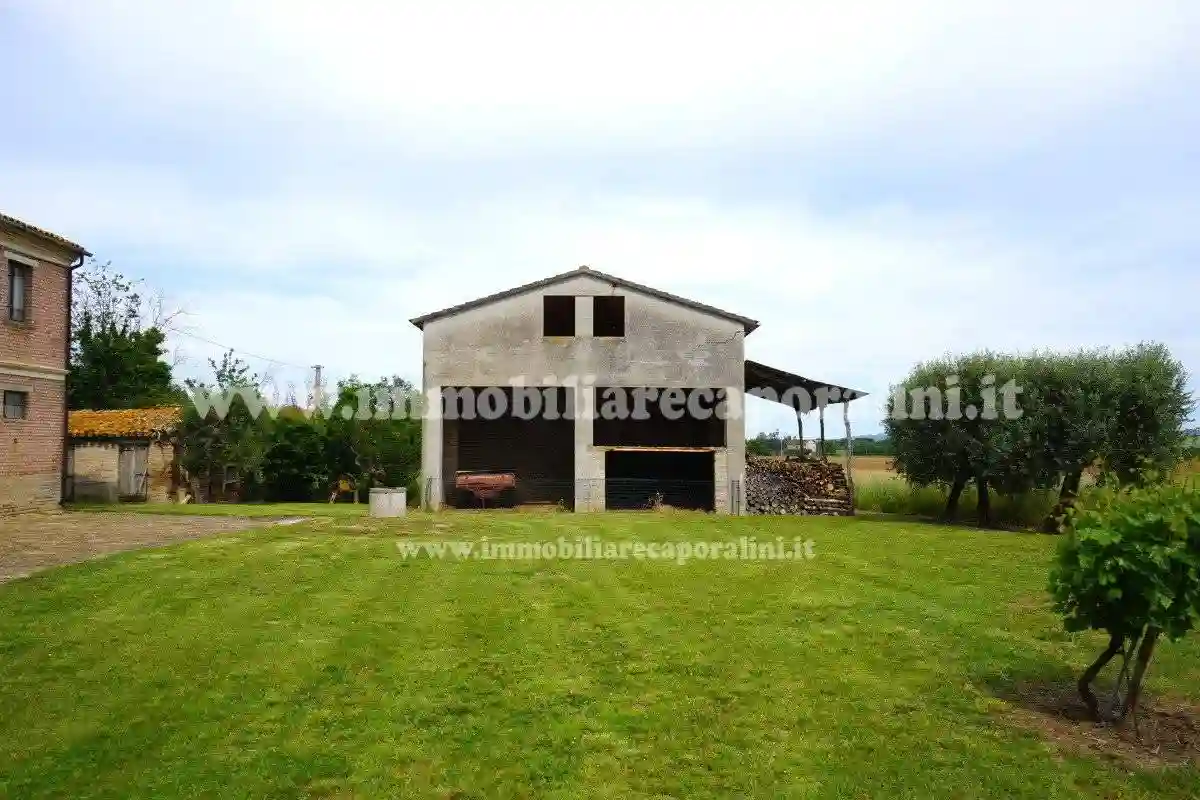 Rustico - Casale - foto 5