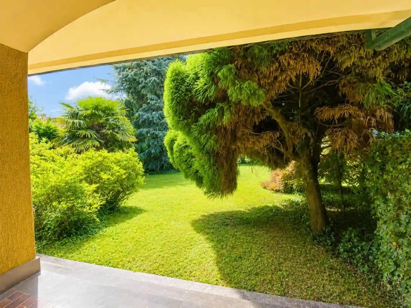 Villa - foto 4