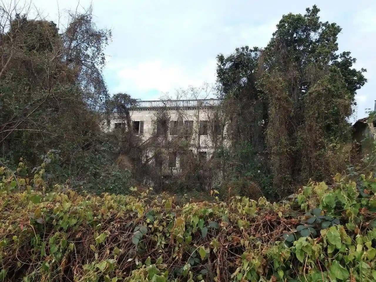 Palazzo - Edificio - foto 2