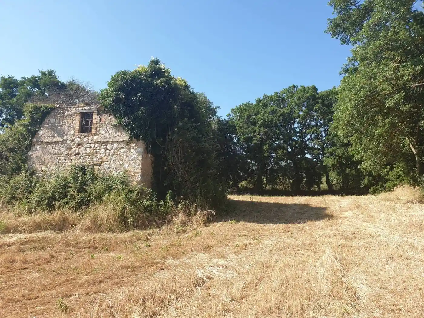Rustico - Casale in vendita a Lugnano in Teverina