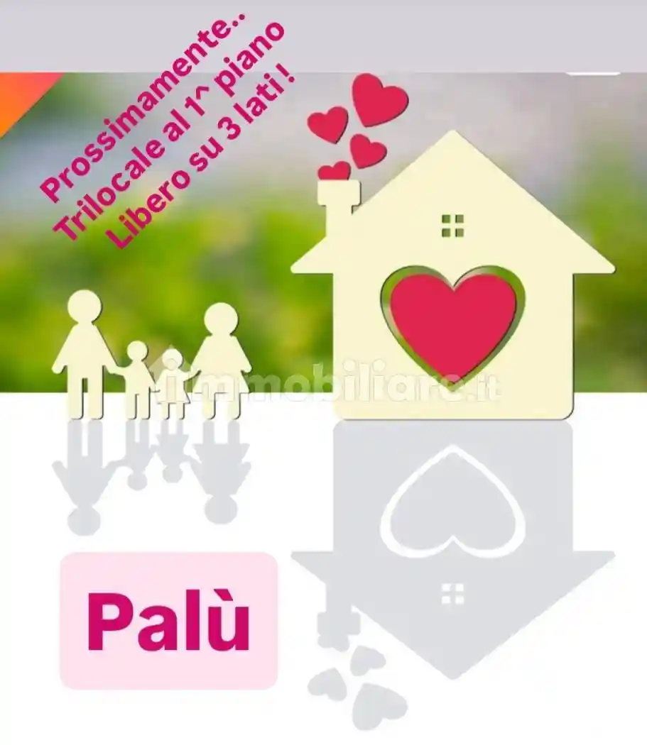 Appartamento in vendita a Palù