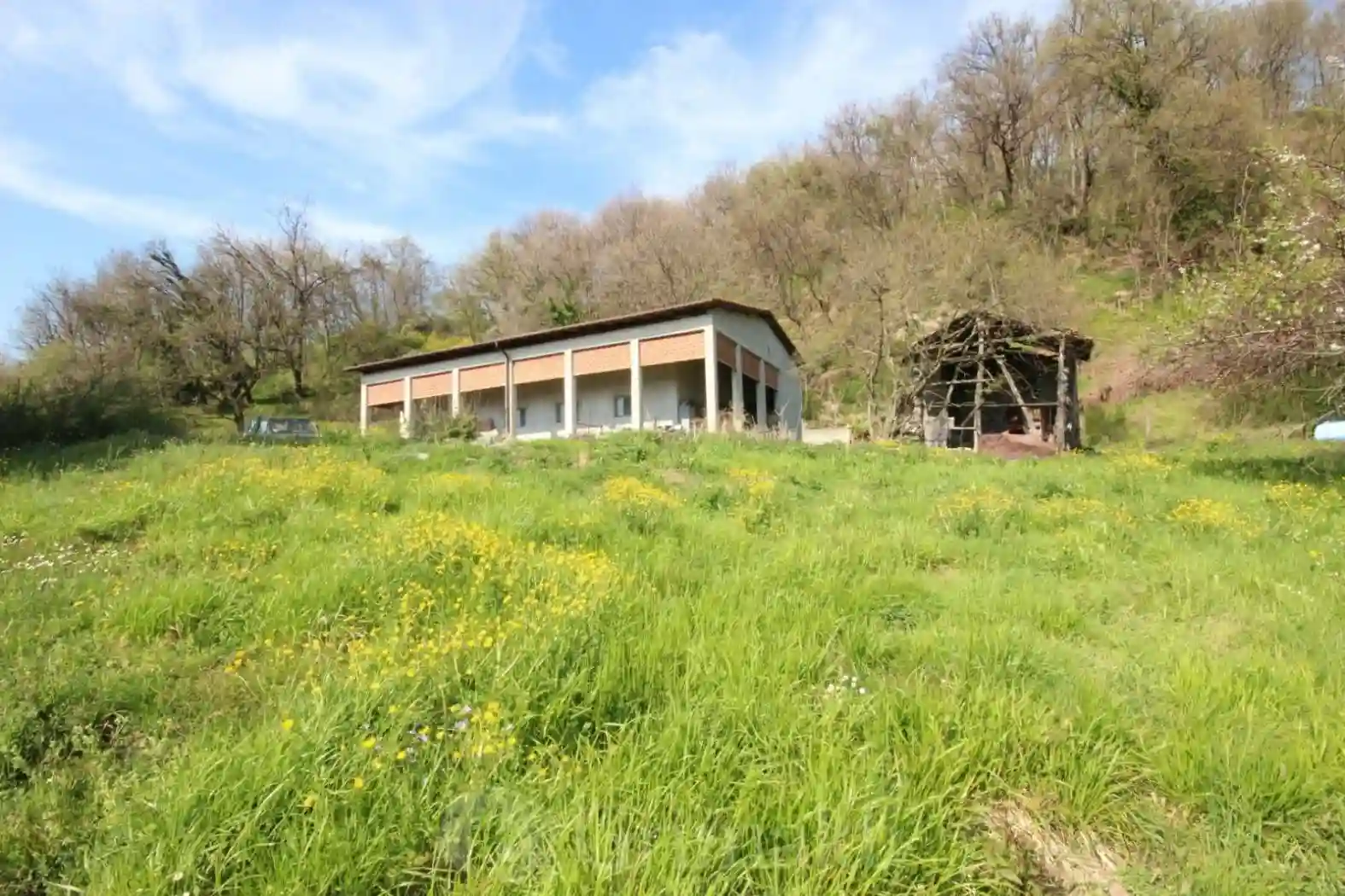 Rustico - Casale - foto 5