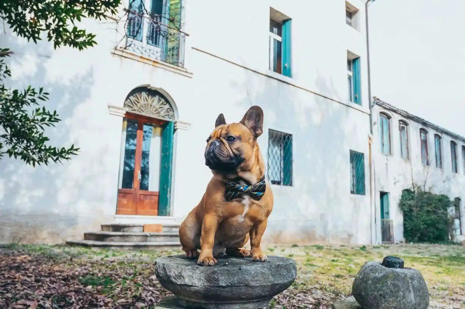 Villa in vendita a Colceresa