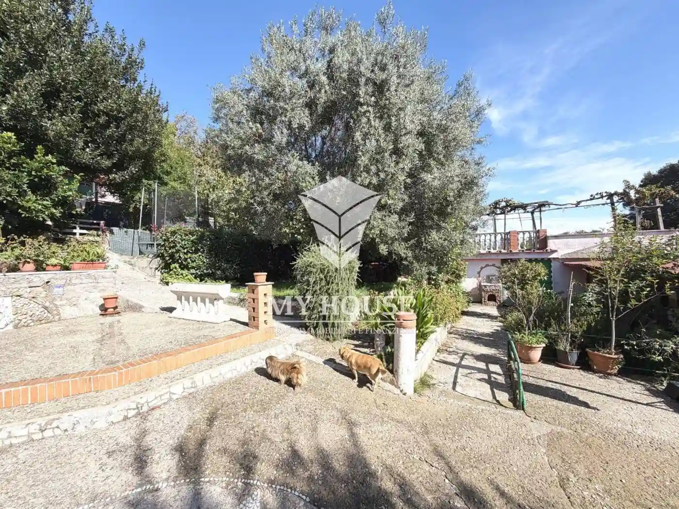 Villa - foto 5