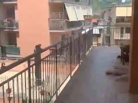 Appartamento in affitto a Napoli