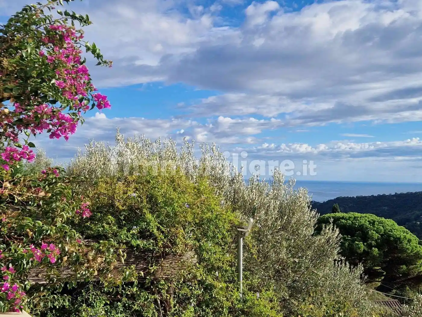 Appartamento in vendita a Celle Ligure