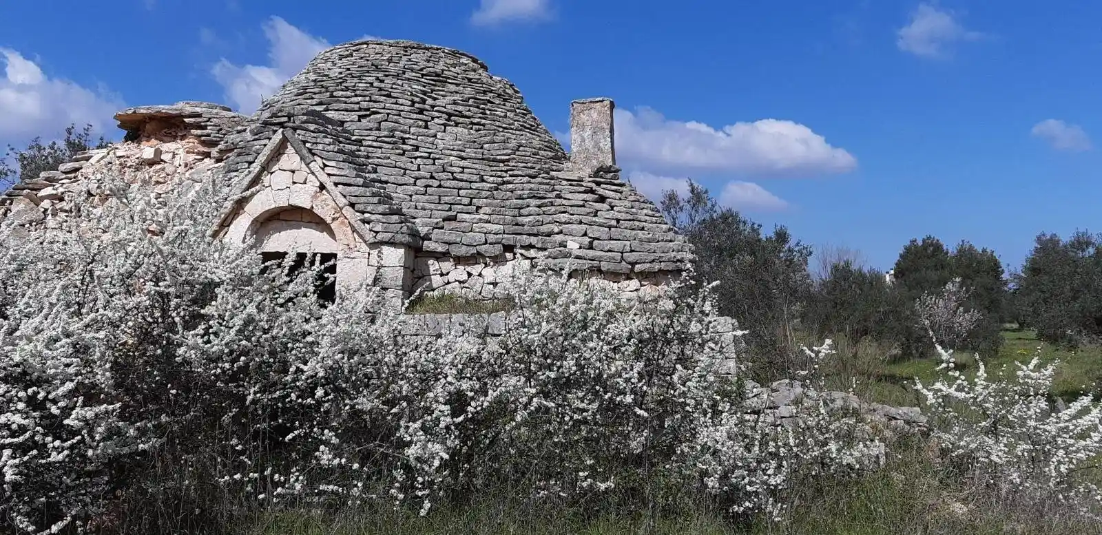 Rustico - Casale in vendita a Castellana Grotte