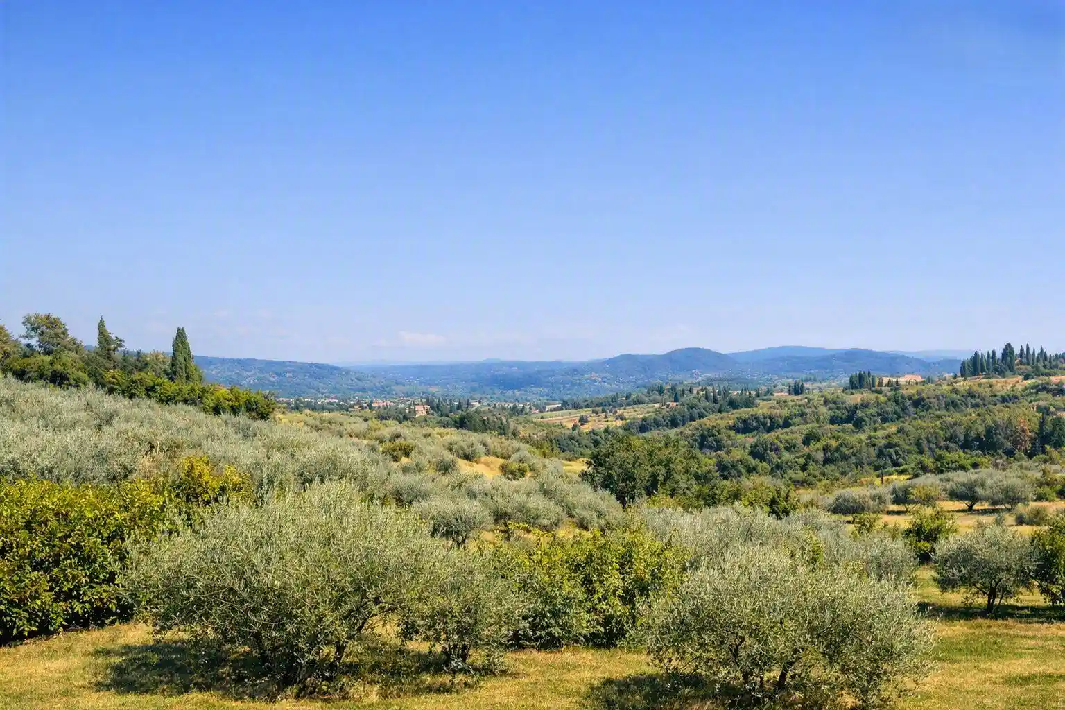 Appartamento in vendita a Firenze