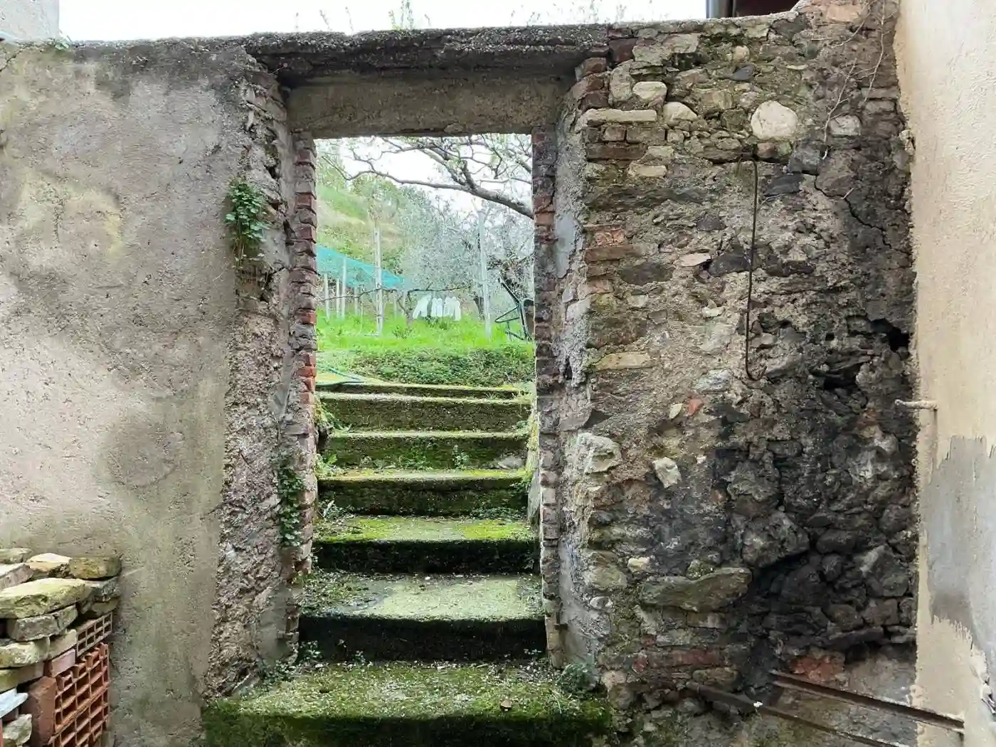 Rustico - Casale - foto 5