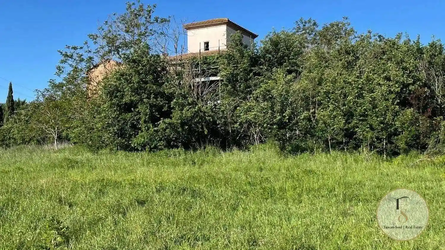 Rustico - Casale in vendita a Vinci