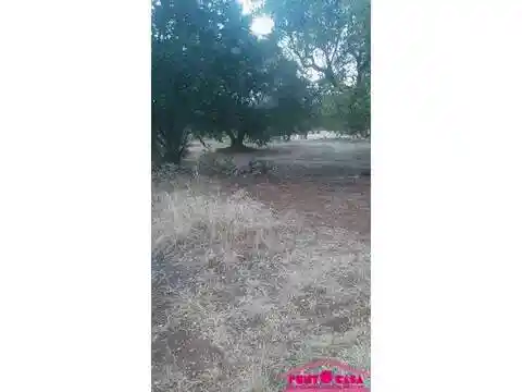 Rustico - Casale in vendita a Ostuni