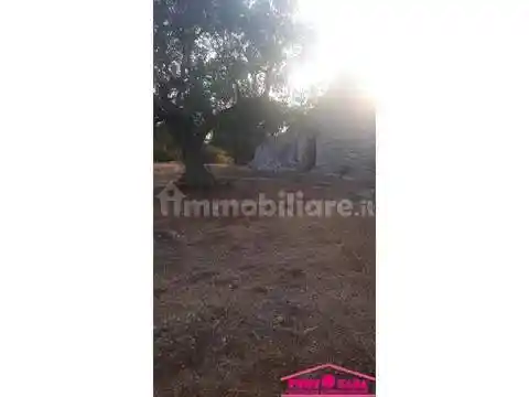 Rustico - Casale in vendita a Ostuni