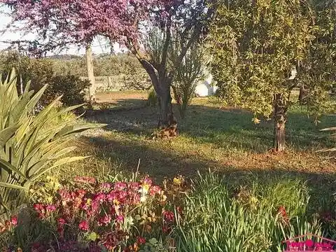 Villa in vendita a Ostuni