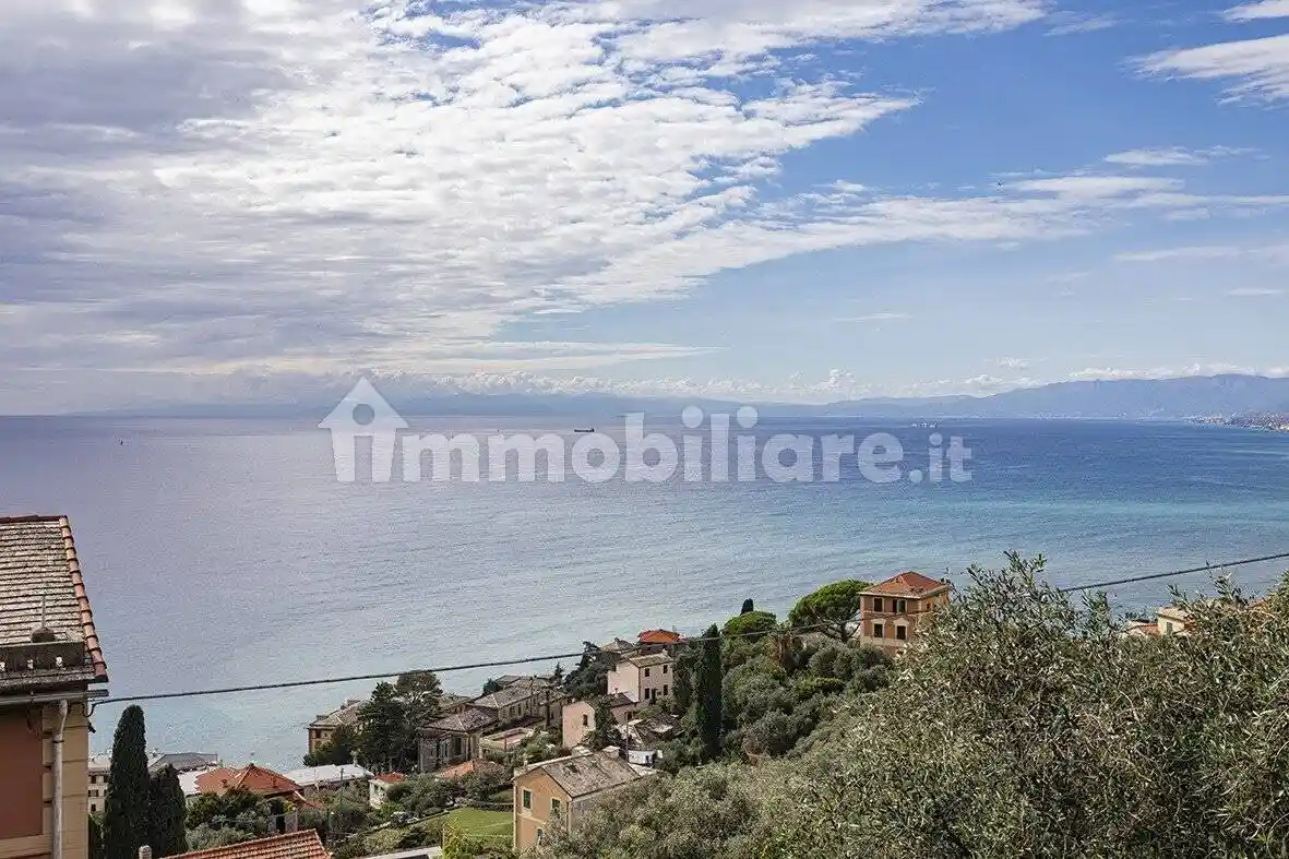Appartamento in affitto a Camogli