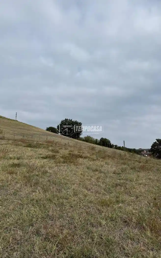 Rustico - Casale in vendita a Castellarano