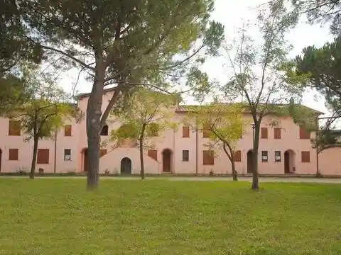 Appartamento in affitto a Capalbio