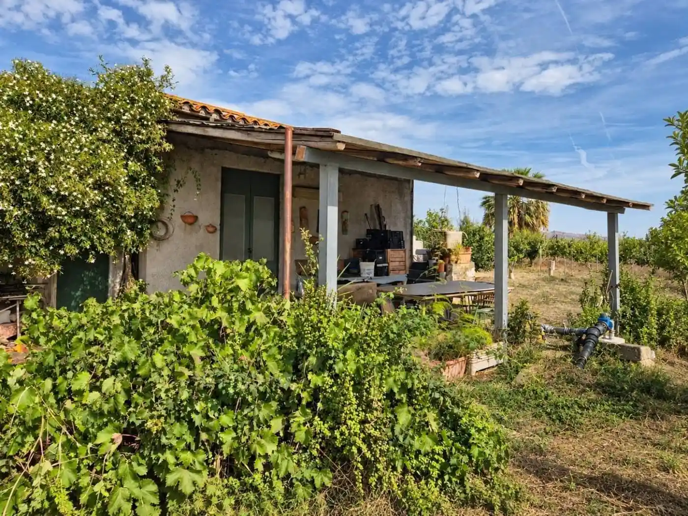 Rustico - Casale in vendita a Motta Sant'Anastasia