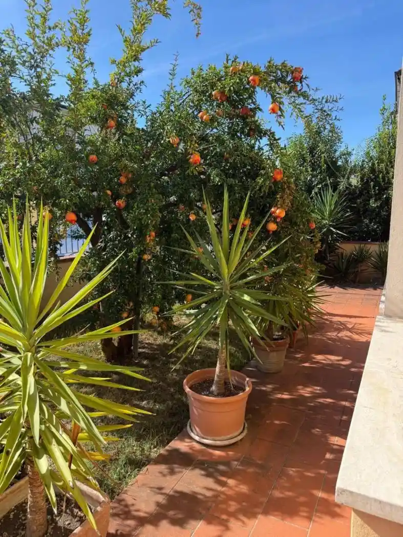 Villa in vendita a Fucecchio