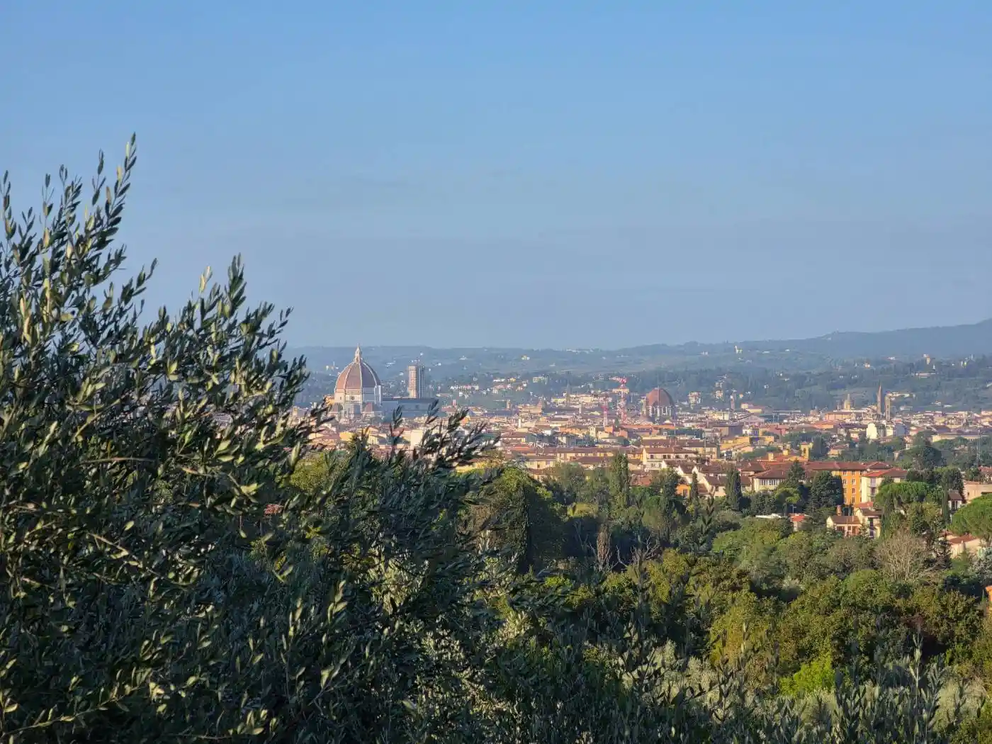 Casa indipendente in affitto a Firenze