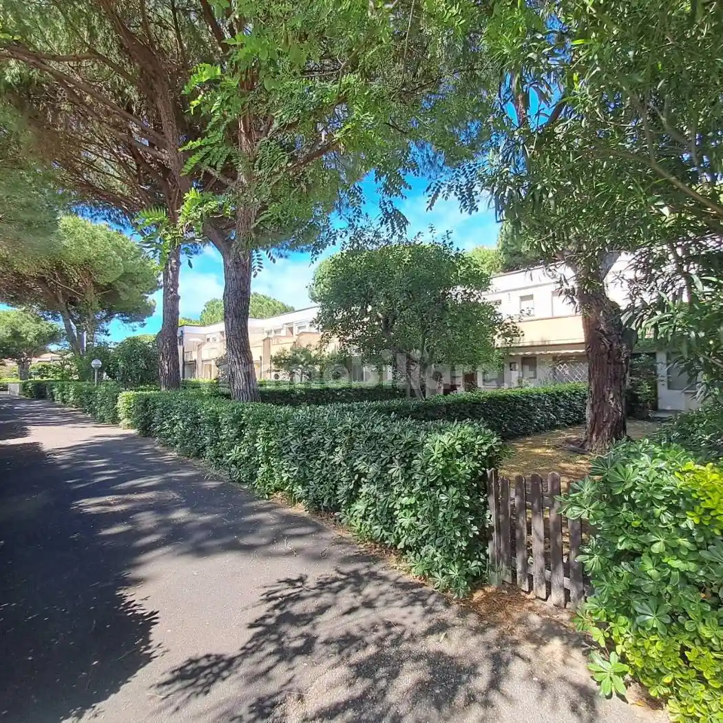 Appartamento in vendita a Bibbona