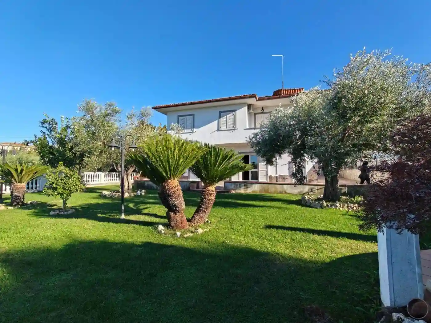Villa - foto 5