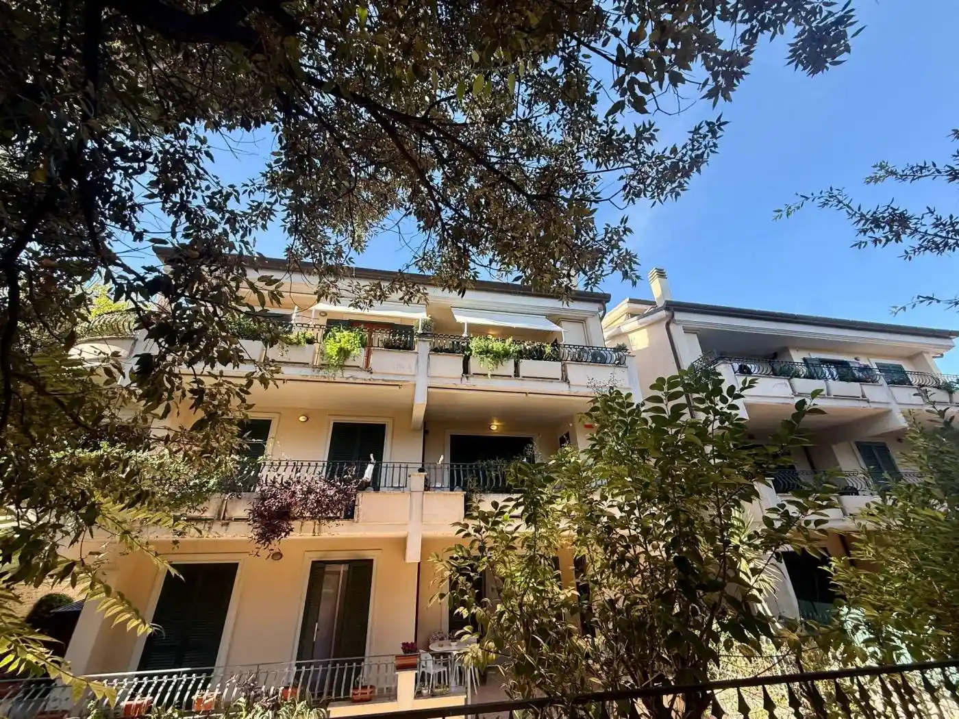 Appartamento in affitto a Grottaferrata