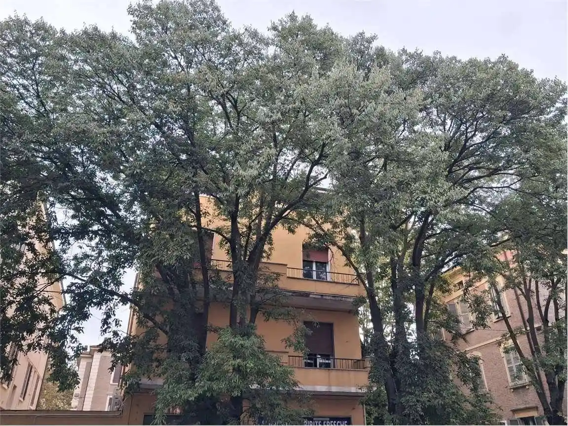 Appartamento in vendita a Modena