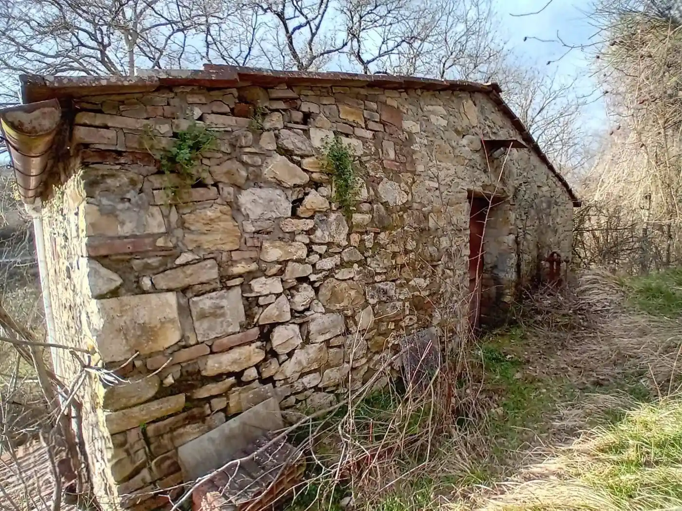 Rustico - Casale in vendita a Greve in Chianti