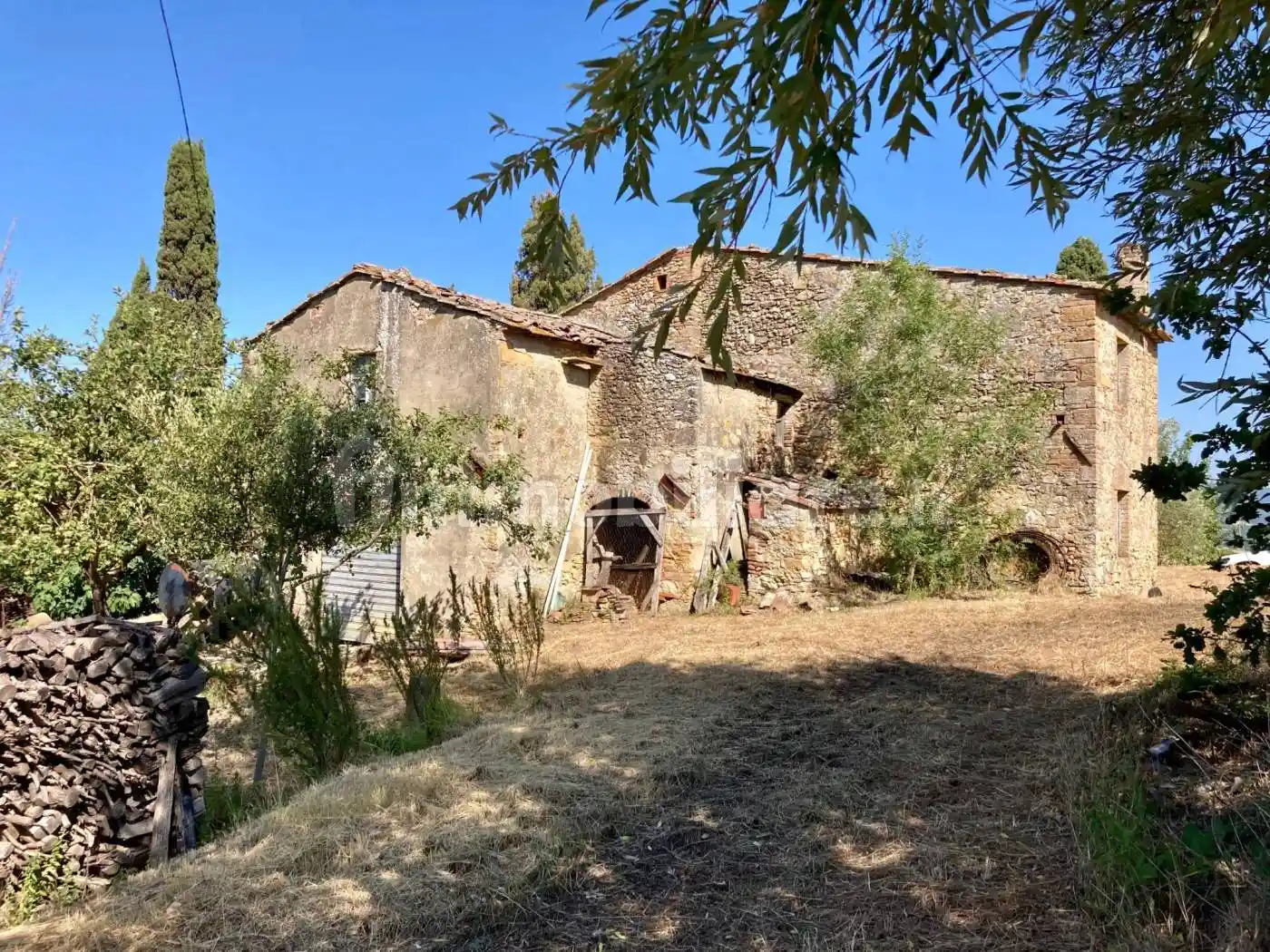 Rustico - Casale in vendita a Montescudaio