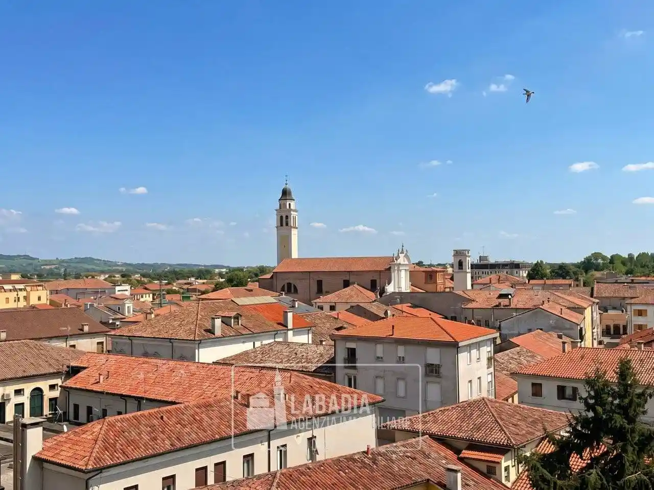 Appartamento in vendita a Badia Polesine