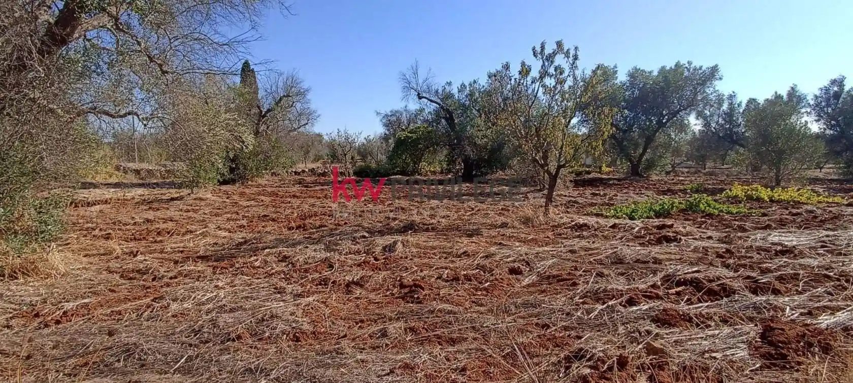 Rustico - Casale in vendita a San Vito dei Normanni