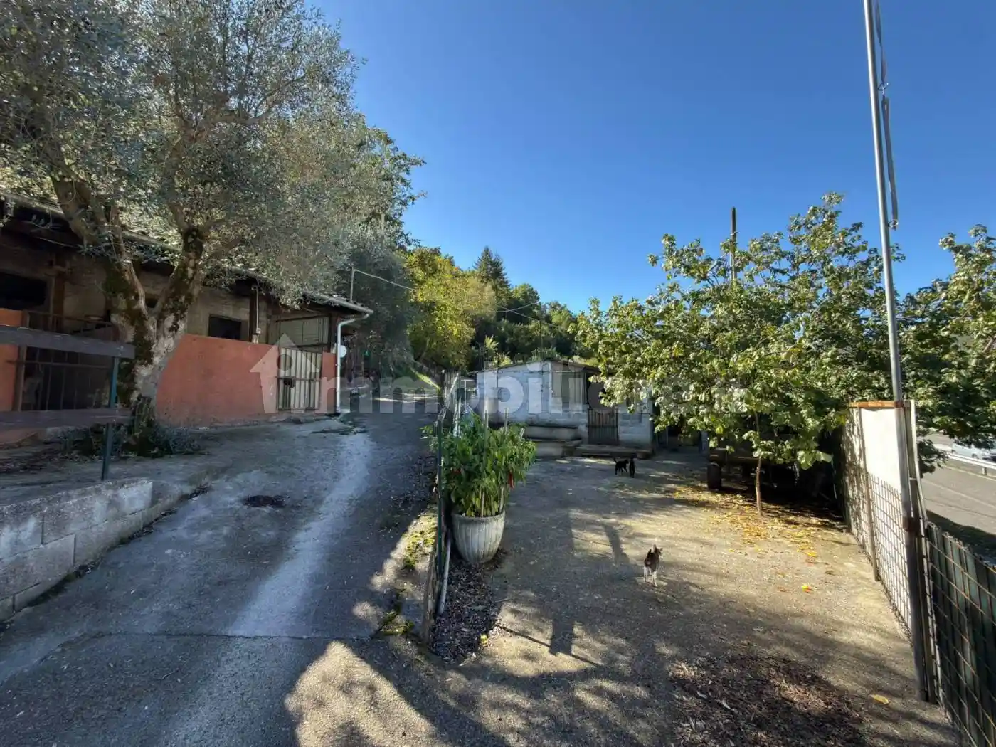 Rustico - Casale in vendita a Borgo Velino