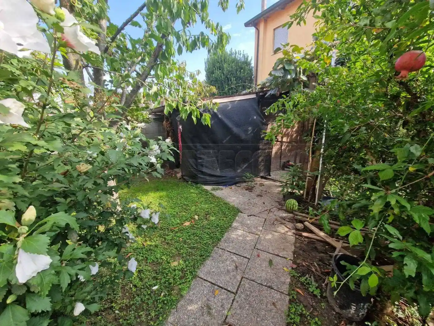 Villetta a schiera in vendita a Pieve d'Olmi