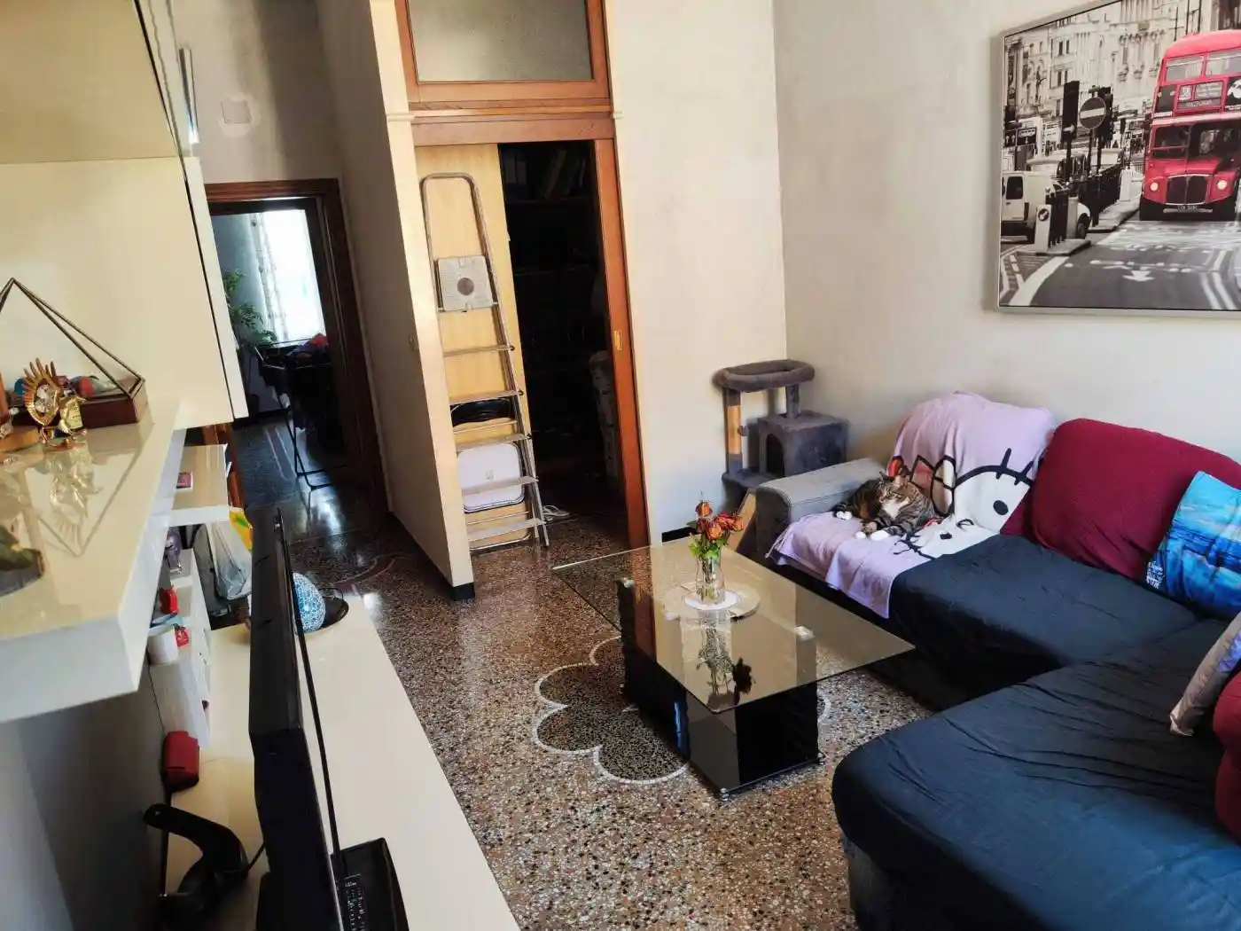 Appartamento in affitto a Genova